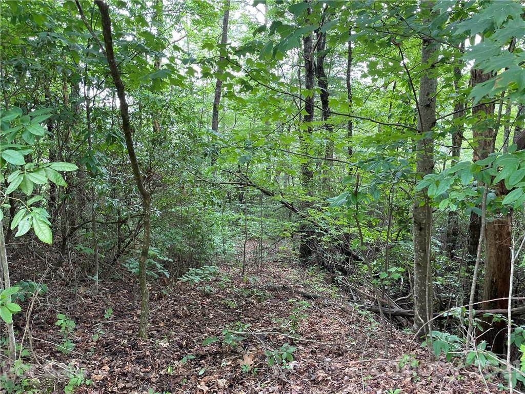 Lot 83 Sandy Lane - Photo 1