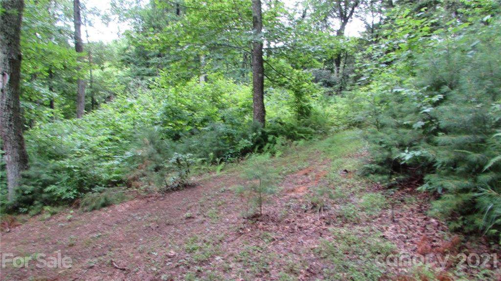 010 TBD Deer Park Lake Road - Photo 1