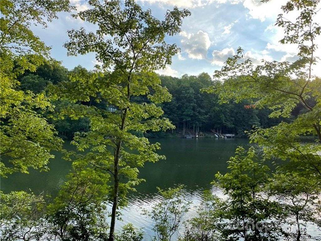 1733 Buffalo Creek Road - Photo 1