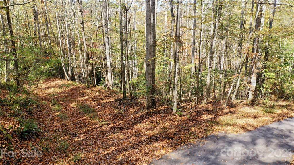 Lot 13 Kanuga Ridge Road - Photo 1