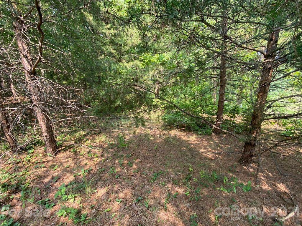 0 Whispering Pines Circle - Photo 1