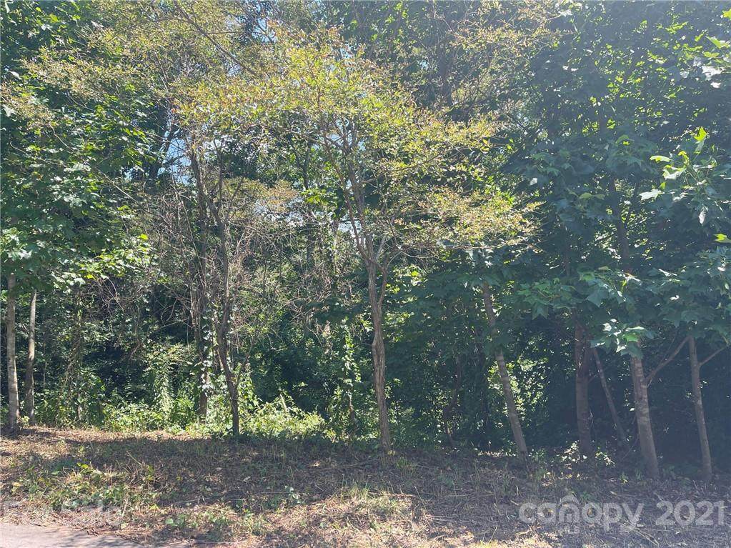 37 Summersweet Lane - Photo 1