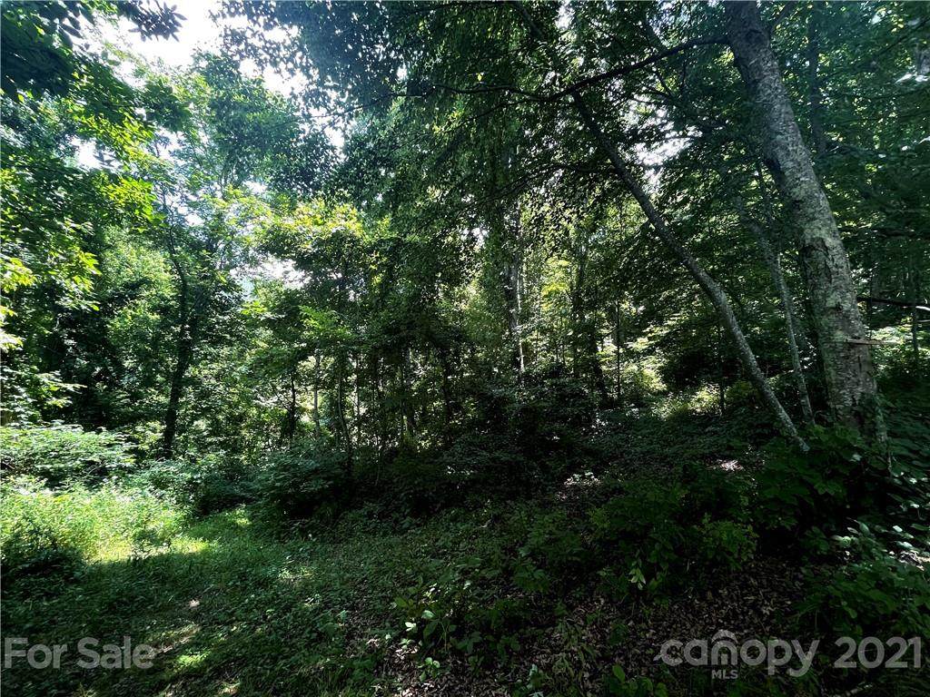 00 Haynes Cove Road - Photo 1