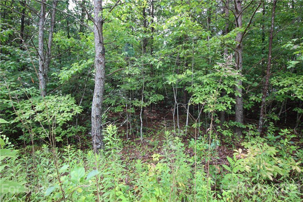 Lot 3 Ridge Way - Photo 1