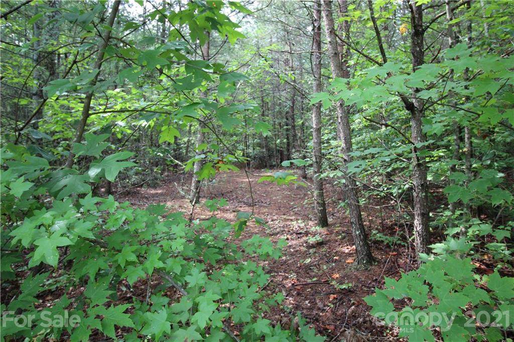 Lot 4 Ridge Way - Photo 1