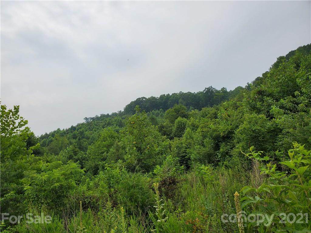 near 620 Cherry Grove Road - Photo 1