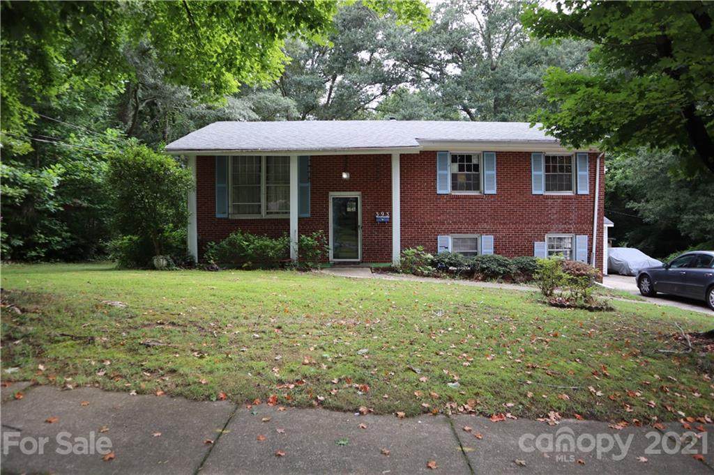 393 Efird Street - Photo 1