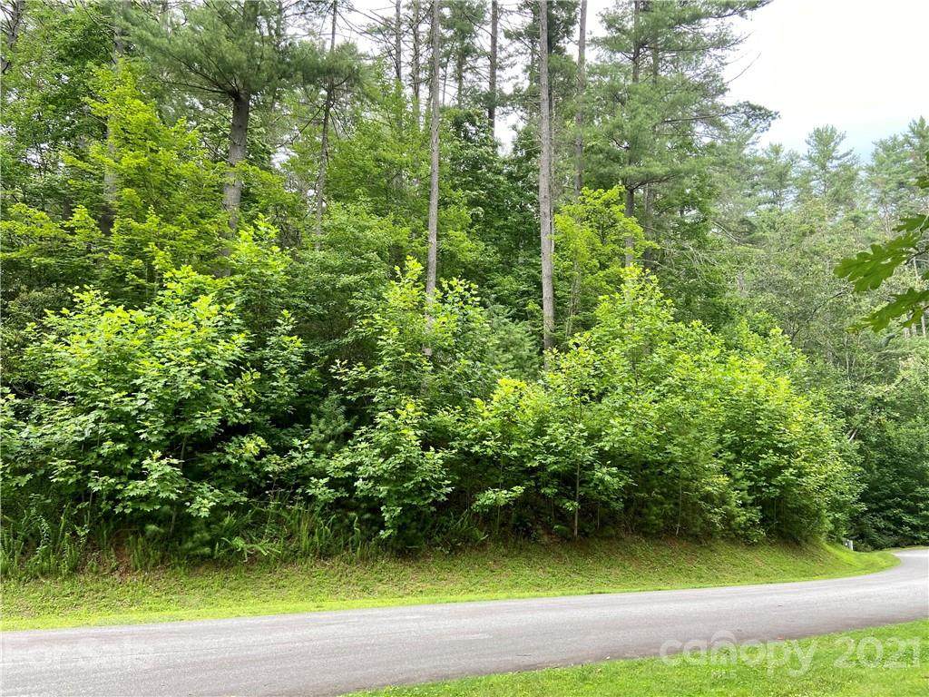 L27 Rockbrook Overlook - Photo 1