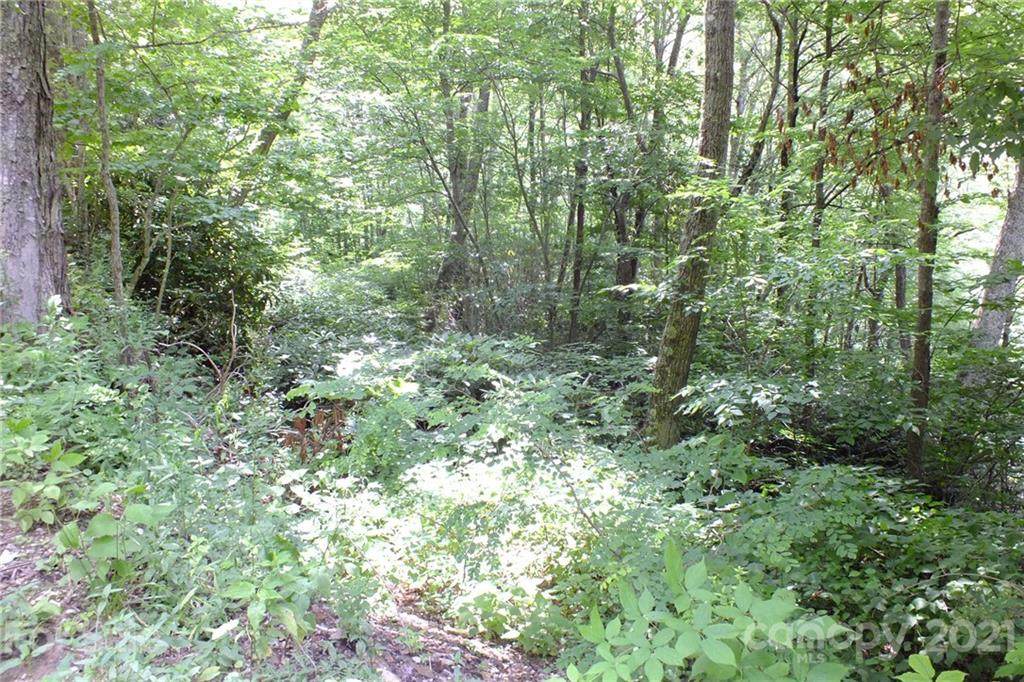 Lot 19 Long Branch Road - Photo 1