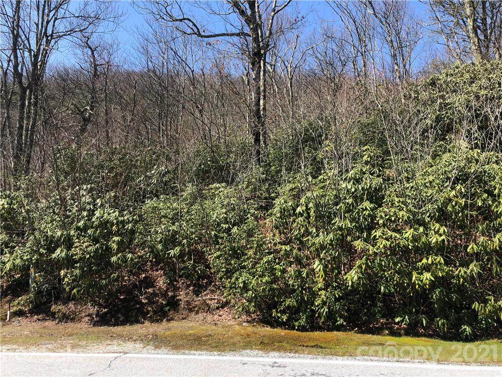 Lot 51 Meadow Ridge Road - Photo 1