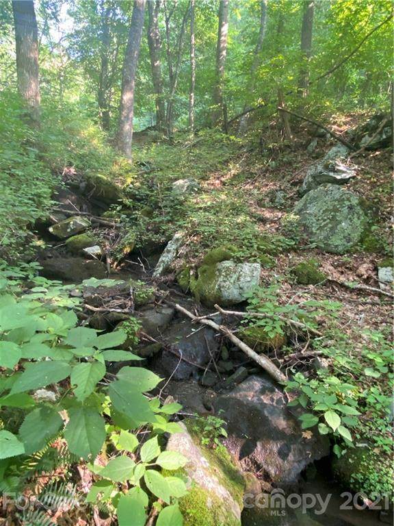00 Star Branch Road - Photo 1