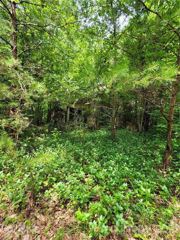 228 Landers Chapel Road - Photo 1
