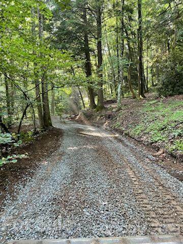 000 Ravenwood Trail - Photo 1