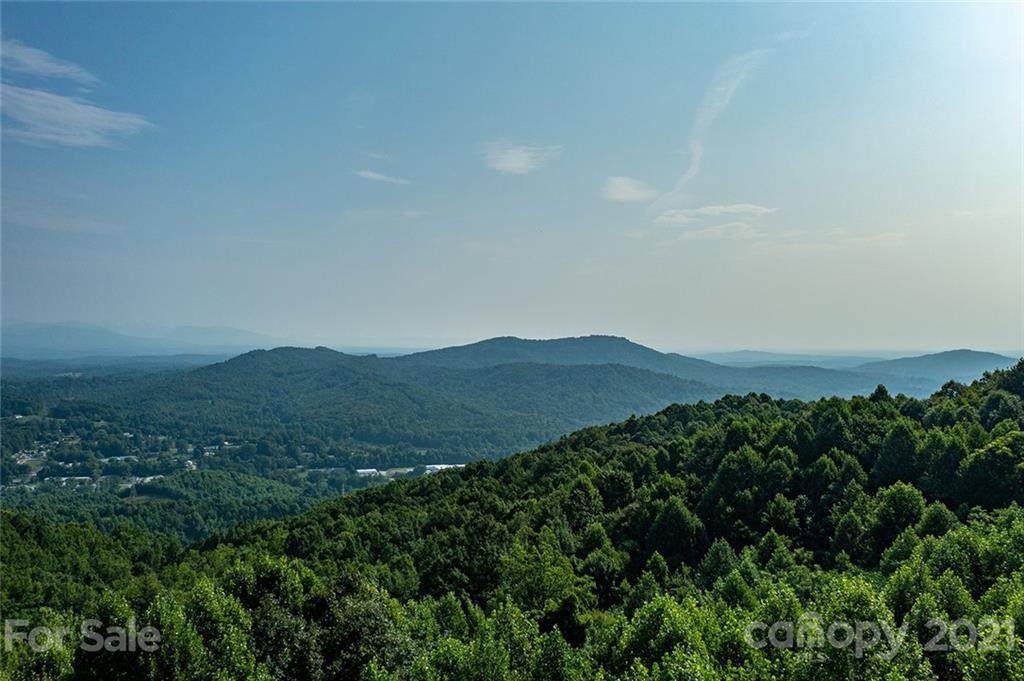 36117 Pisgah View Drive - Photo 1
