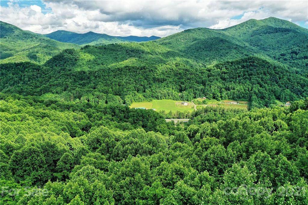 Lot 48 Forest Valley Drive - Photo 1