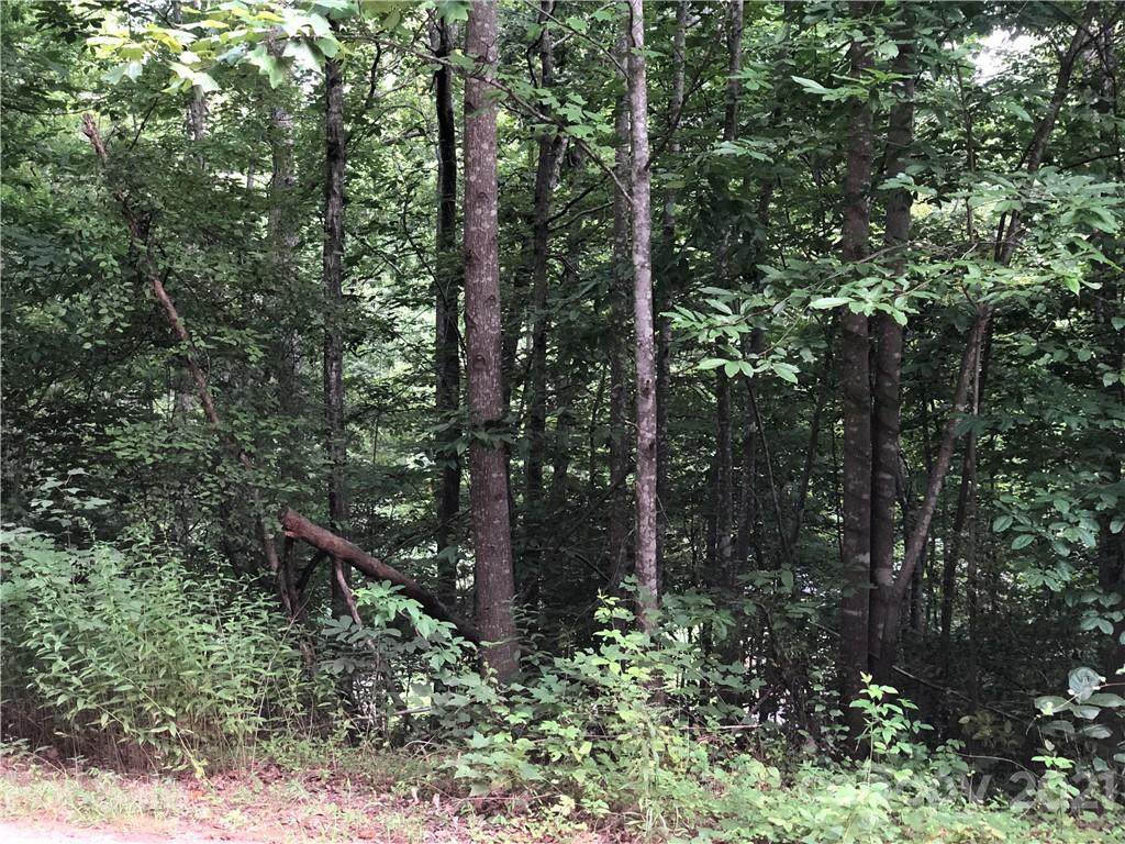 3640 Oak Drive - Photo 1