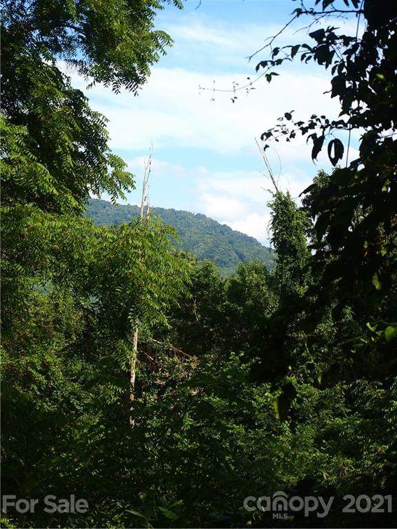 00 Porters Ridge Road - Photo 1