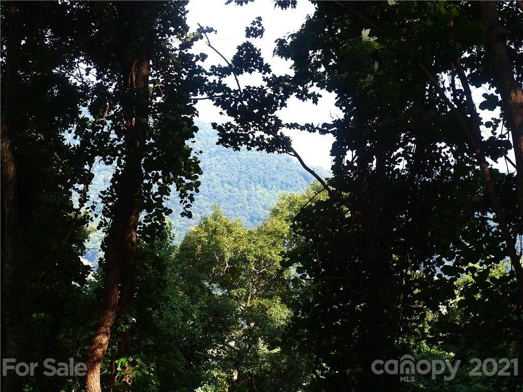 0000 Porters Ridge Road - Photo 1