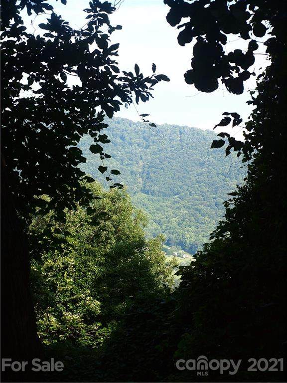 00000 Porters Ridge Road - Photo 1