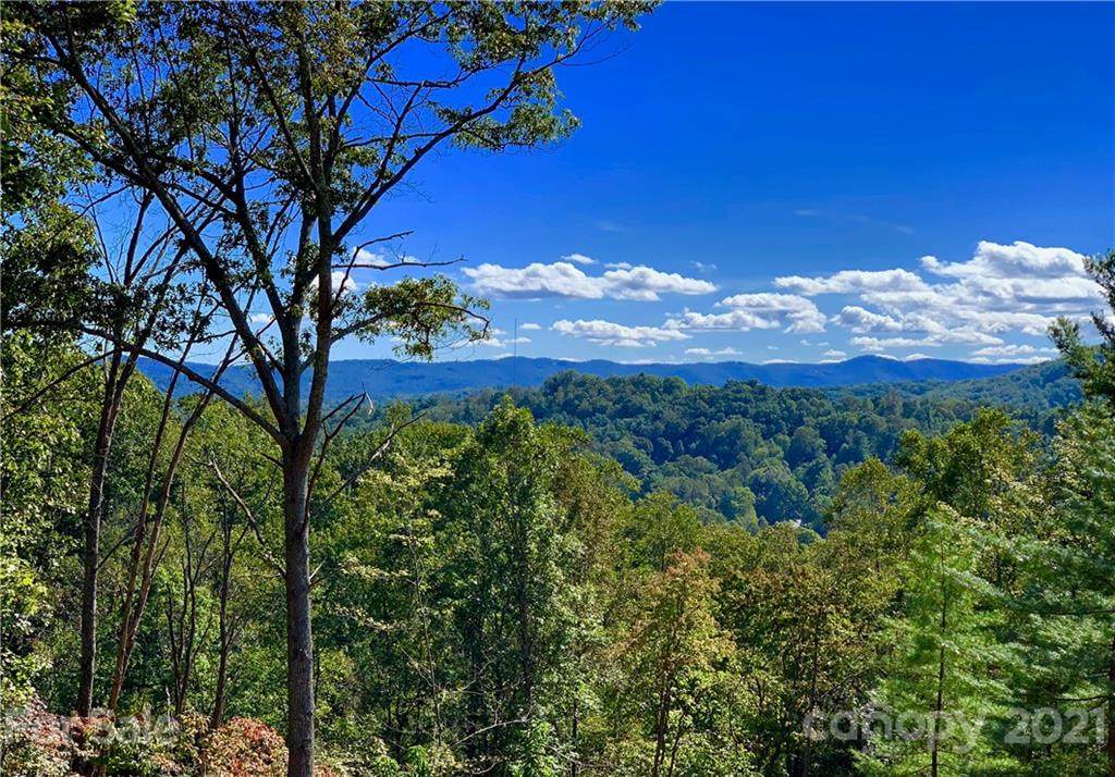 235 Curtain Bluff - Photo 1