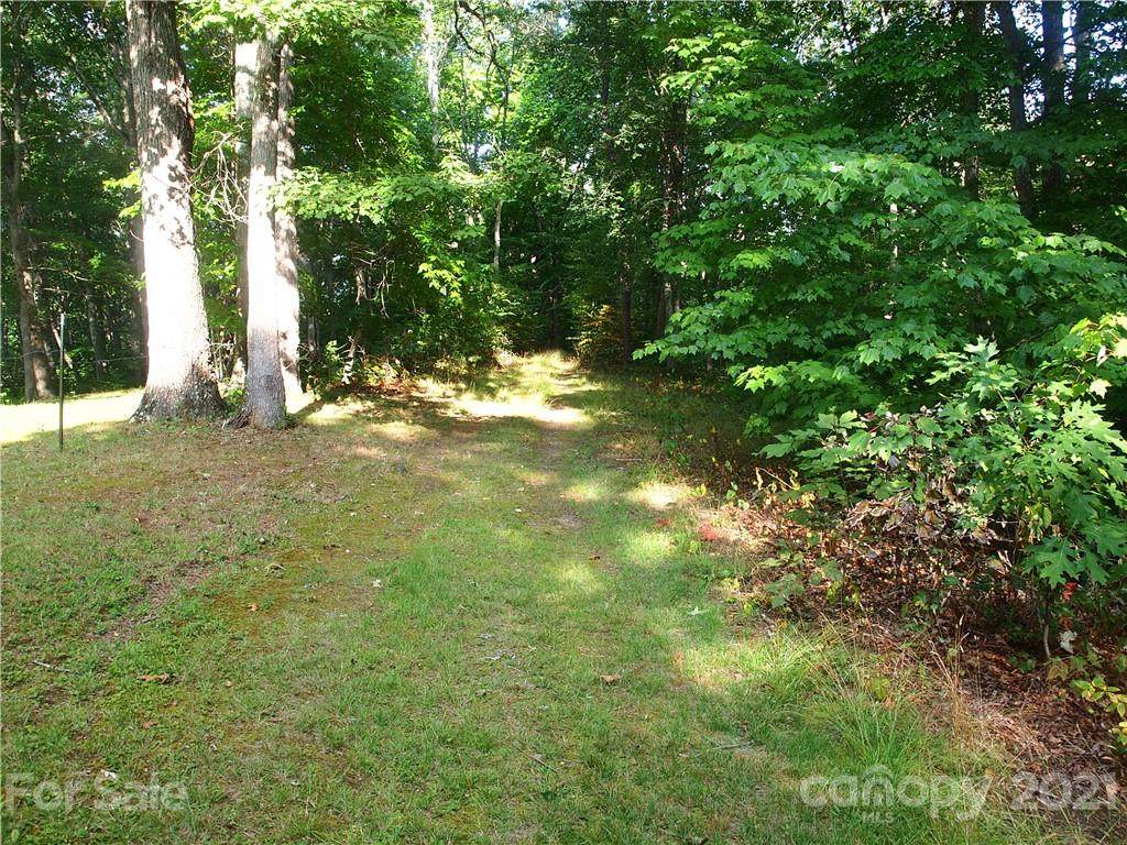 000000 Porters Ridge Road - Photo 1