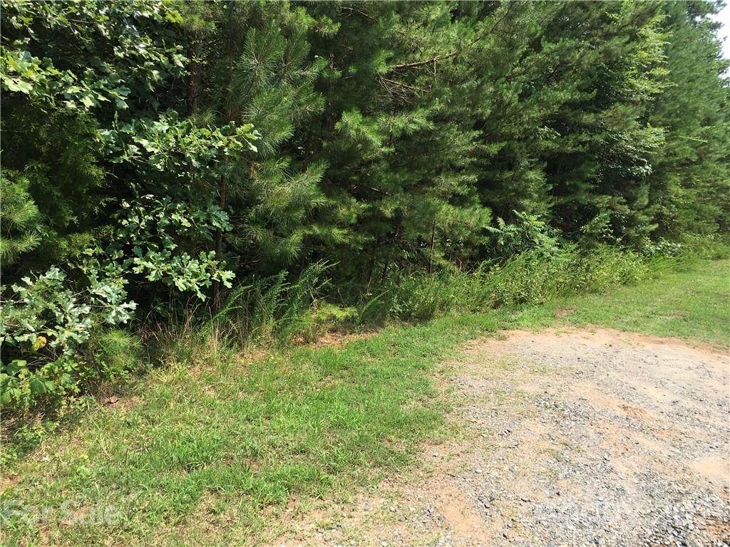 177 Cotton Cross Drive - Photo 1