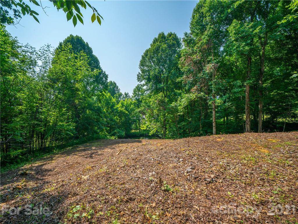 638 Crystal Tree Drive - Photo 1