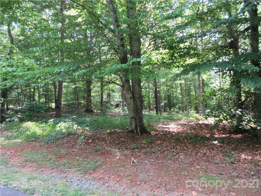 Lot 22 Forest Ridge Road - Photo 1