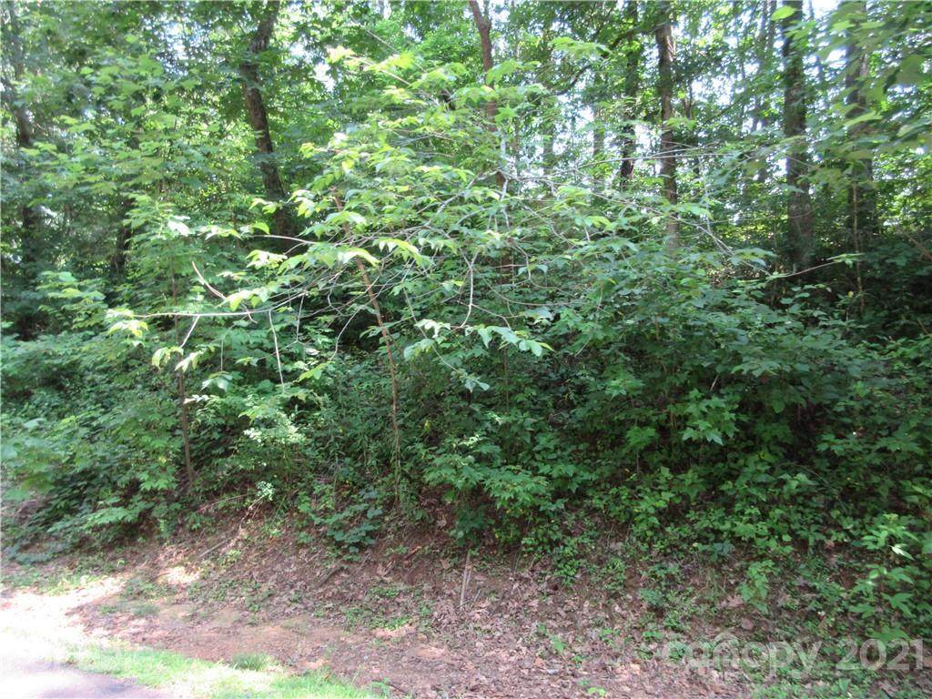 Lot 26 Rambling Creek Road - Photo 1