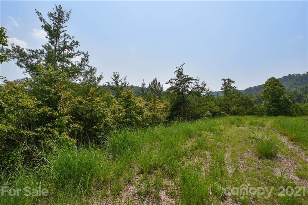 113 Chardonnay Avenue - Photo 1