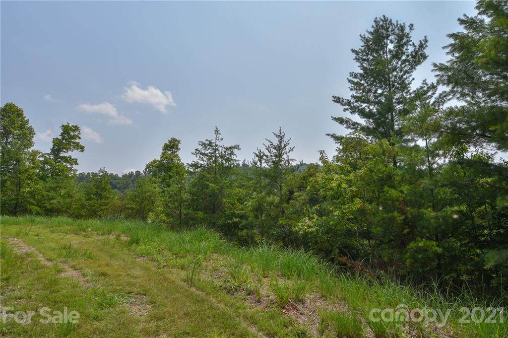 Lot 11 The Vines Boulevard - Photo 1