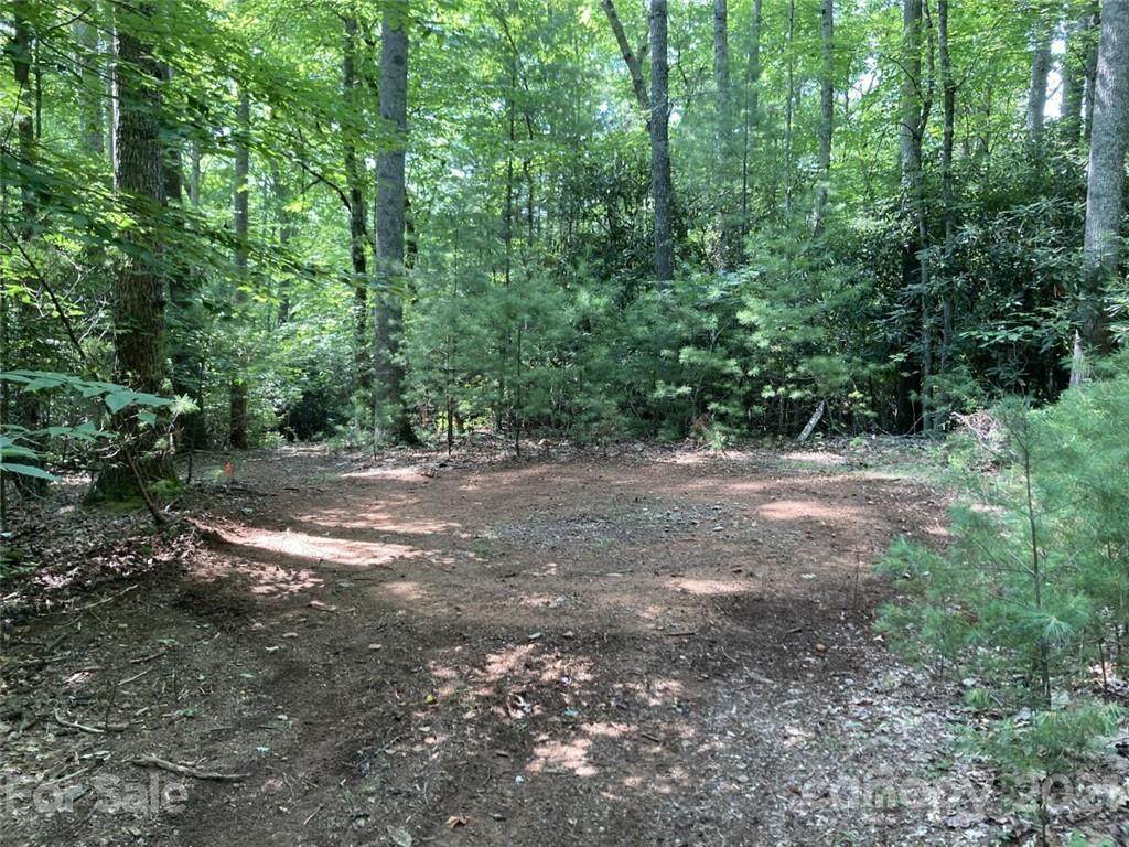 167 Ashland Mountain Road - Photo 1