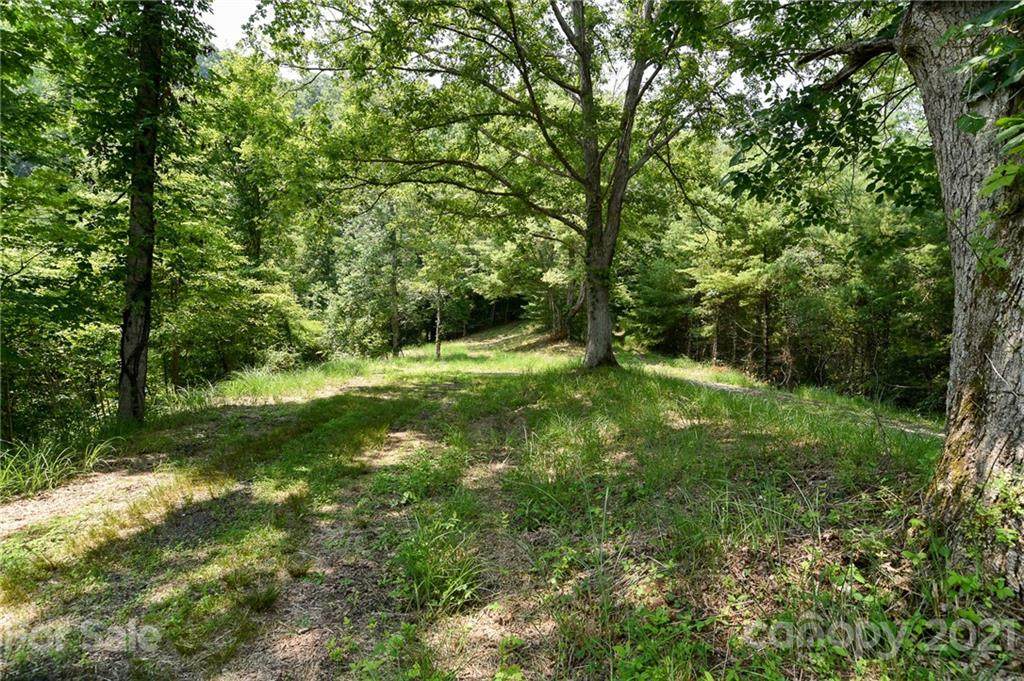 Lot 13 The Vines Boulevard - Photo 1