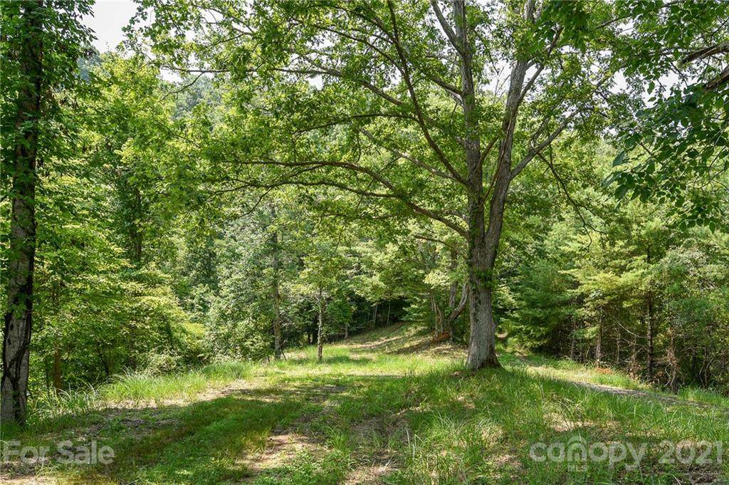 492 The Vines Boulevard - Photo 1
