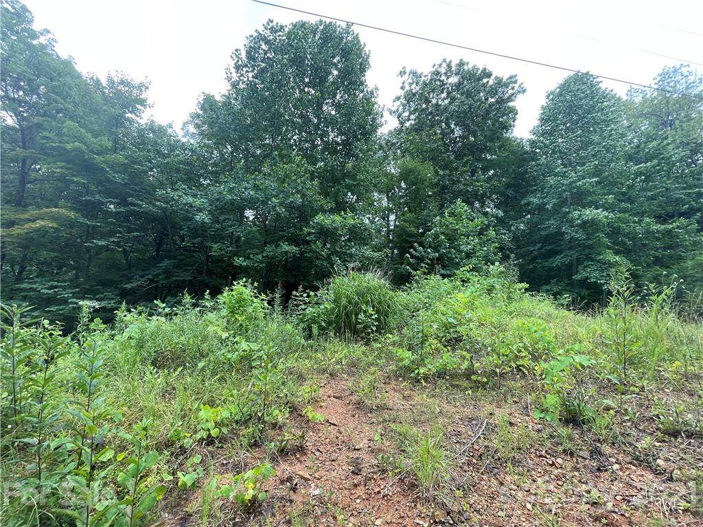 0 Pinnacle Lane - Photo 1