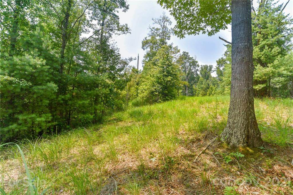 347 The Vines Boulevard - Photo 1