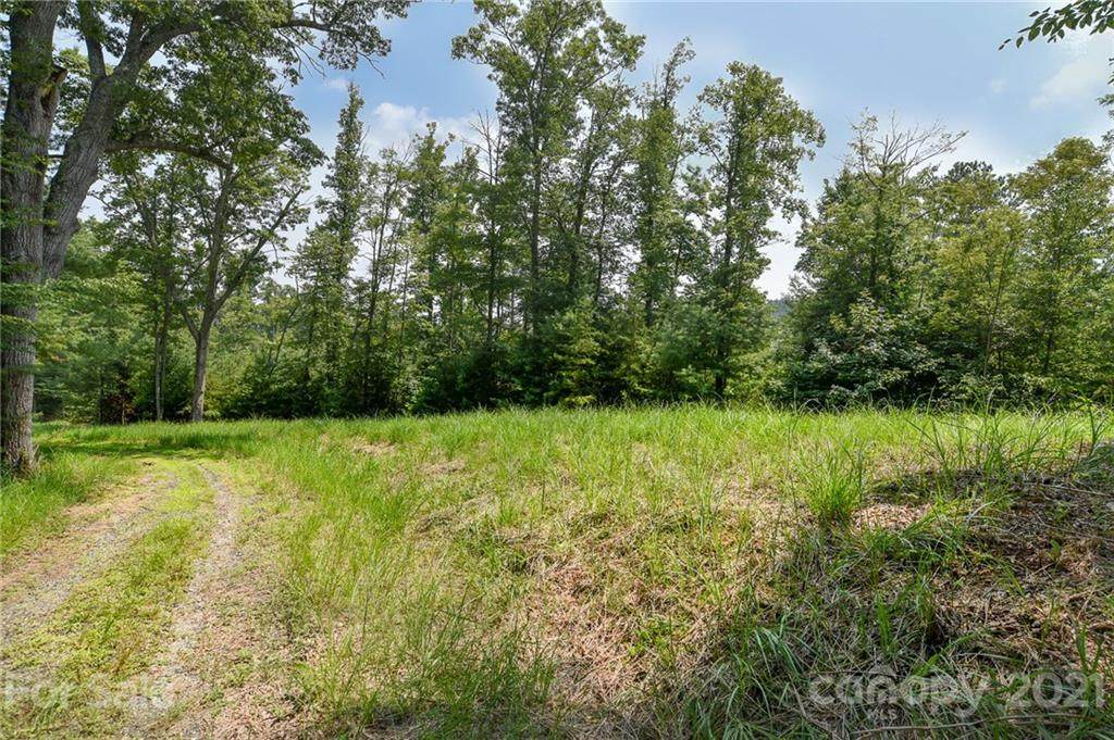 301 The Vines Boulevard - Photo 1