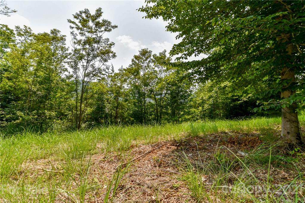 319 The Vines Boulevard - Photo 1
