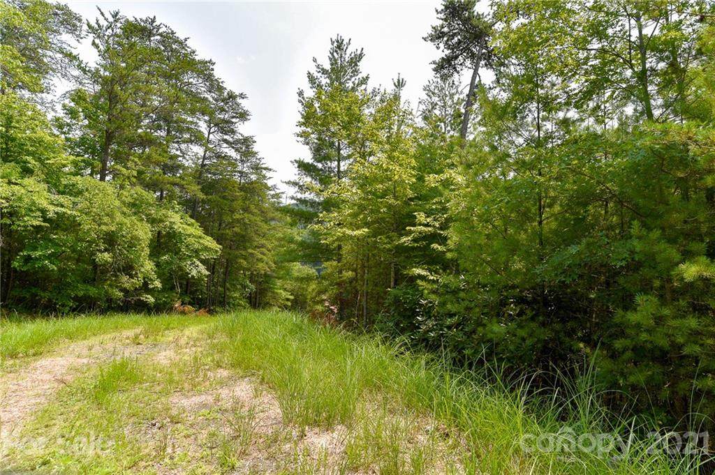 Lot 22 The Vines Boulevard - Photo 1