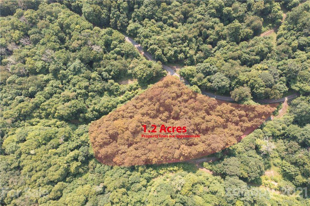 00 Justin Ridge - Photo 1