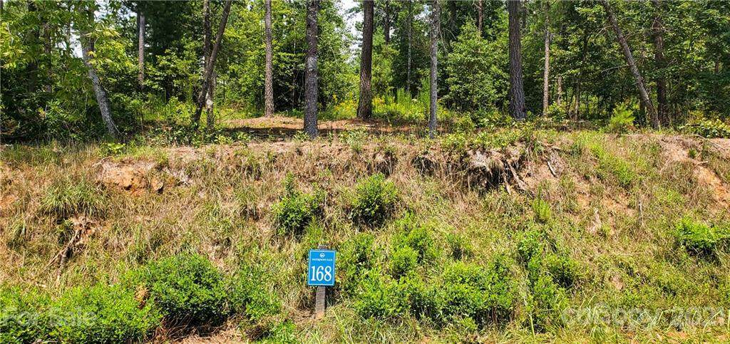 TBD Scenic Lane - Photo 1