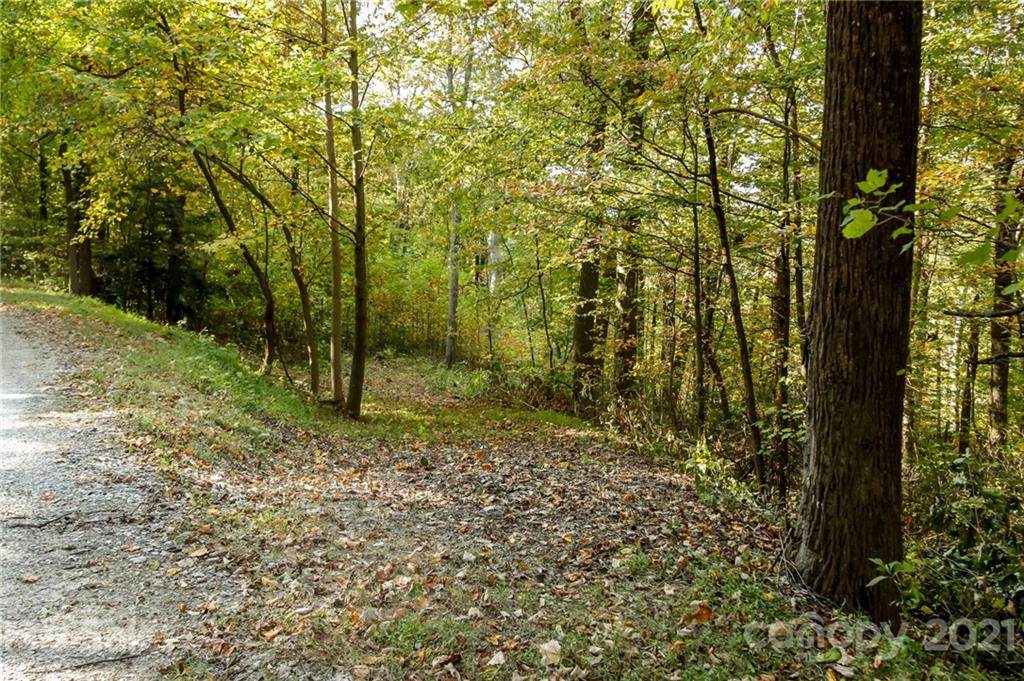 0 Wolf Pen Road - Photo 1