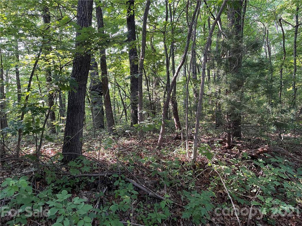 954 River Ridges Road - Photo 1