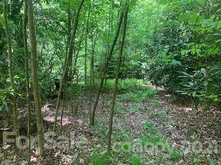 20 (MOL)Acres Off Vineyard Loop - Photo 1