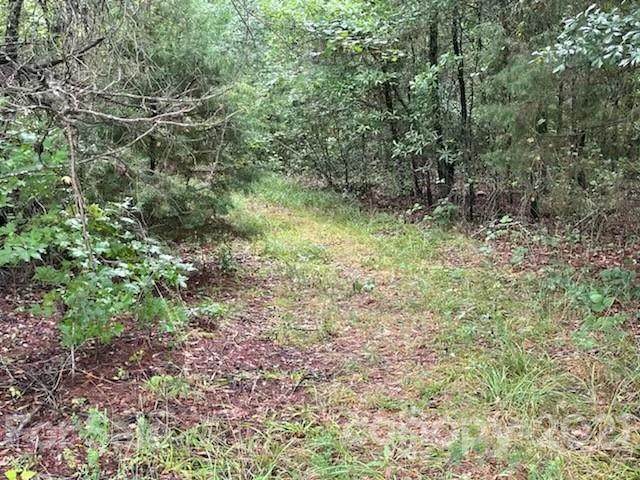 0 Woods Drive - Photo 1