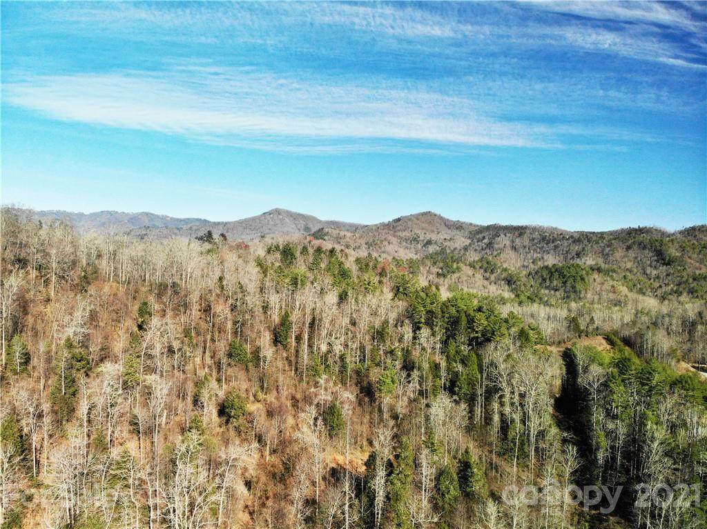 000 Globe Road - Photo 1