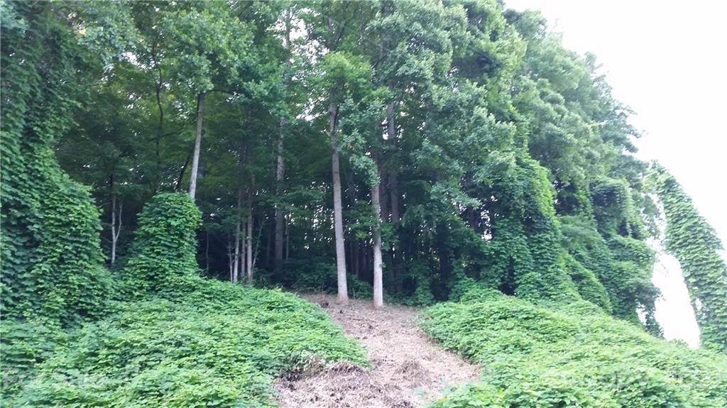 00 Lower Sand Branch Road - Photo 1