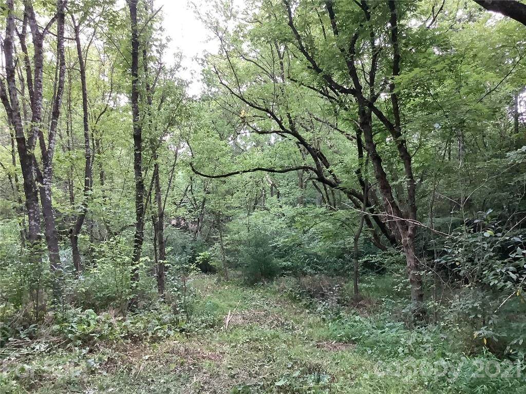 000 Grapevine Road - Photo 1
