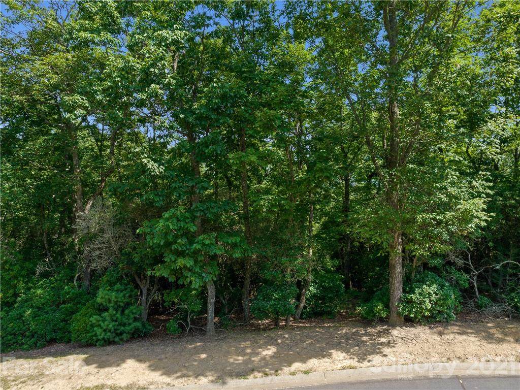1126 Mills River Way - Photo 1