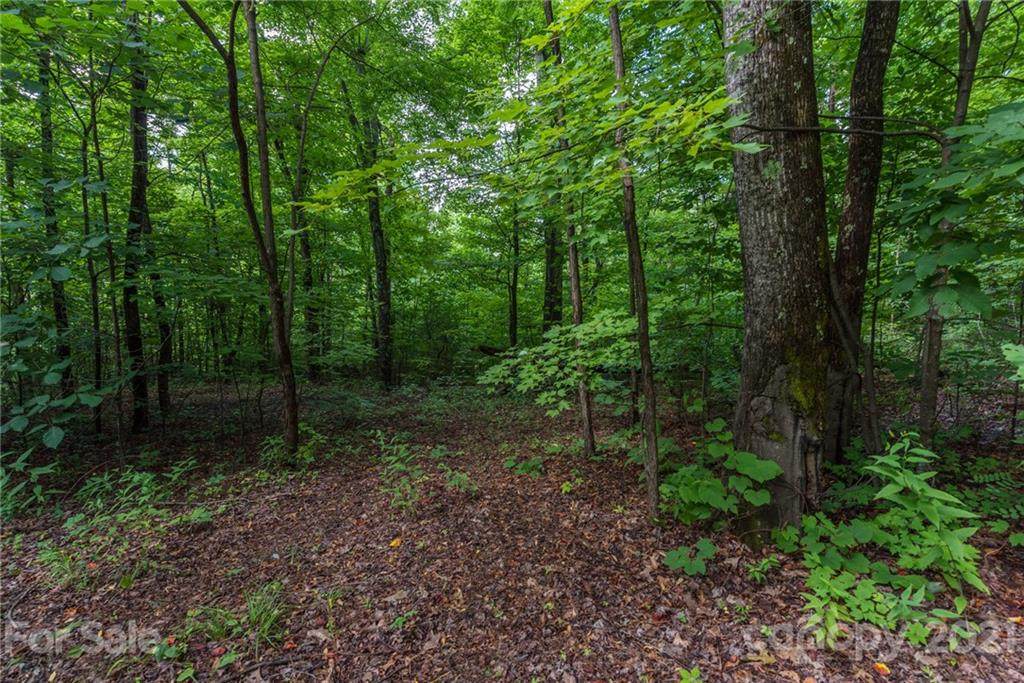 V/L 972 Lake George Road - Photo 1